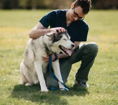 Staff member kneeling and petting a Husky dog